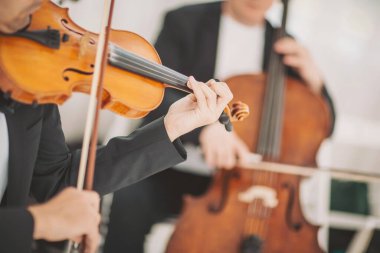 Zarif teller, incelikli bir toplantı sırasında uyum içinde yankılanır. Beklenti ve sanatla dolu sakin bir mekanda müzik performansının başlangıcını yakalar.