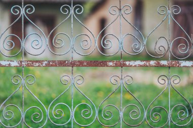 Büyüleyici desenler, öğleden sonra erken saatlerde büyüleyici bir bahçede dövülmüş demir bir kapının...