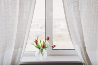 Parlak laleler ve narin çiçekler berrak bir vazoda sergilenir. Güneş ışığının cazibesini yükseltir. Kapalı bir alanda, pencerenin yanında süzülen yumuşak perdelerle.