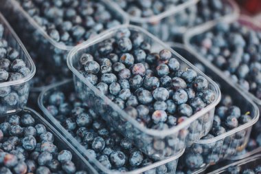 Berry bonanza taze yiyecek pazarında enfes olgun yaban mersinleri ve şeffaf kaplarda canlı çilekler müşterileri doğanın tatlı ödülünün tadını çıkarmaya çağırıyor.