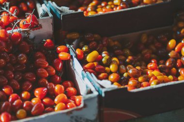 Bahçe bahçesinde aromalı bir gökkuşağı aile yadigarı üzüm domatesleri, çiftçi pazarında, yaz salataları için mükemmel..