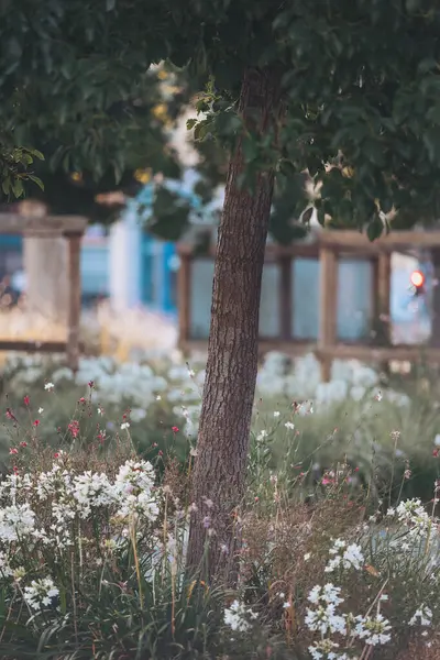 Canlı bahar bahçesi, yumuşak güneş ışığı altında yemyeşil ve narin taç yapraklarıyla çiçeklerin arasında dans etmeye çağırır.