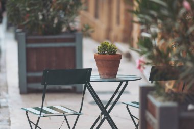 Güneşli bir günde yeşil sandalyeler ve masa üzerinde saksı bitkisi olan rahat sokak ortamları.