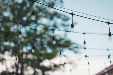 İp ışıkları, gün batımında toplanan arka bahçeyi aydınlatıyor. Dostlar ve aileler için sıcak ve davetkar bir ortam yaratıyor.