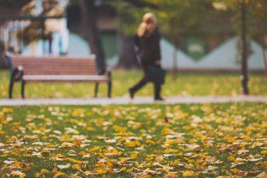 Sonbahar yaprakları, sonbaharın altın renklerinde gezinen sakin bir park yolunu örtüyor.