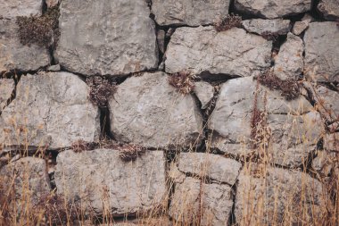 Vahşi otlarla süslenmiş doğal taş duvar, alacakaranlıkta eski bir arazide kırsal bir cazibe yaratıyor.
