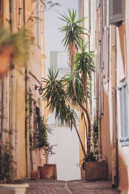 Yeşilliklerle bezenmiş dar sokaklar öğle vakti büyüleyici bir Akdeniz kasabasında dingin ve açık bir alana çıkıyor.