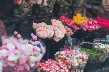 Parlak bir öğleden sonra, hareketli bir pazarda sergilenen çiçek buketleri herkesi renkli cazibelerini ve güzel kokularını keşfetmeye davet ediyor.