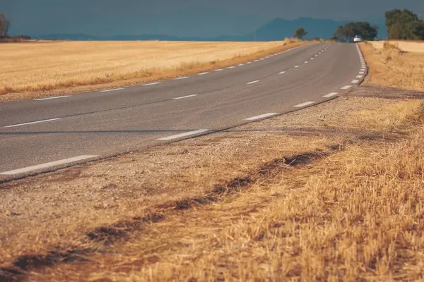 Uçsuz bucaksız altın tarlalar kasvetli bir gökyüzünün altında dolambaçlı bir yol boyunca uzanır, gezginleri öğleden sonra doğanın güzelliklerine doğru huzurlu bir yolculuğa çıkmaya davet eder.