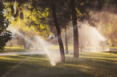 Ağaçlarla dolu sokaklar canlanıyor, fıskiyeler şehirde sıcak bir öğleden sonra çimlerin üzerinde bir sis yaratıyor.