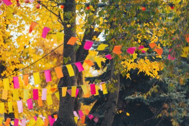 Sonbahar yaprakları arasında renkli bayraklar dalgalanıyor. Doğanın güzelliğini ve mevsimsel değişimini canlı bir şekilde kutluyorlar. Altın yapraklarla süslenmiş ağaçların arasına asılmış renkli afişler.,