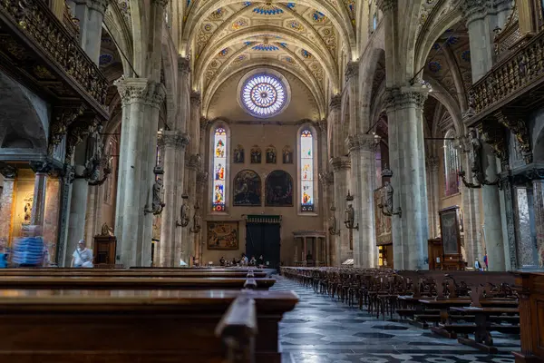Büyük bir katedralin içi. Yükselen taş kolonlar, vitray pencereler ve karmaşık tavan. Ahşap sıralar boşluğu dolduruyor, dingin ve kutsal bir atmosfer yaratıyor..