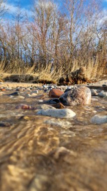 Yüzeysel, berrak suların altında altın güneş ışığı ve arka planda kuru sazlıklar bulunan pürüzsüz taşların canlı görüntüsü..