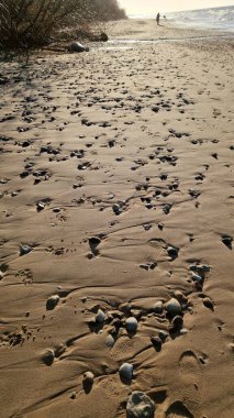 Çakıl taşları ve kumlarla kaplı bir kumsal, güneşin sıcacık ışığında yıkanmış, uzakta hafif dalgalarla..