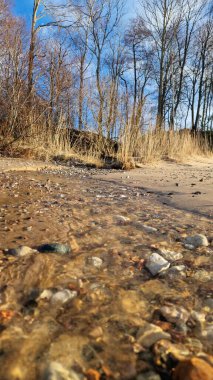 Açık mavi gökyüzünün altındaki çıplak ağaçlardan oluşan bir ormana uzanan çakıllı bir kıyı şeridine alçak bir perspektif..