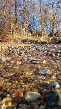 Çıplak ağaçlardan oluşan bir ormana uzanan çakıl taşlı bir sahilde güneşli bir patika. Huzur ve yalnızlık hissi uyandırıyor..