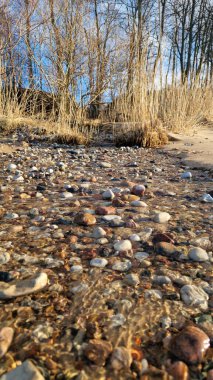 Sıcak güneş ışığı, yumuşak çakıl taşları ve kışın serin bitkileriyle dolu bir dereye altın renkler saçar..