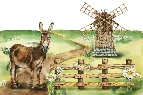 驴在自然界与风车 农场动物 手绘水彩画 — 图库照片