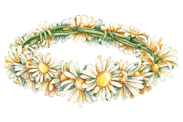 Στεφάνι Λουλουδιών Χαμομηλιού Ζωγραφισμένη Στο Χέρι Ακουαρέλα Εικονογράφηση Απομονωμένη Λευκό — Φωτογραφία Αρχείου