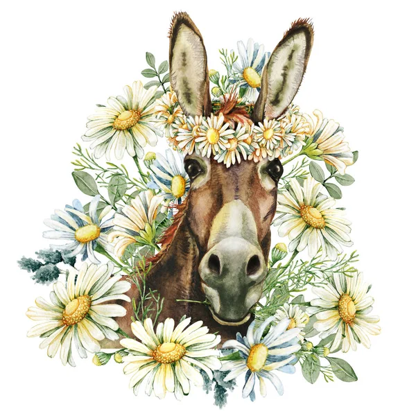 Esel Mit Kamillenblüten Nutztiere Handgezeichnete Aquarell Illustration — Stockfoto