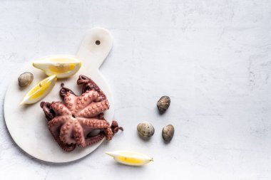 Çiğ balık, ahtapot, karides, salyangoz. Deniz ürünleri. Üst Manzara. Kopyalamak için boş yer. Yüksek kalite fotoğraf