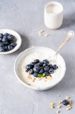Hindistan cevizi sütlü pirinç lapası ve gri arka planda yaban mersini ve fındık. Sağlıklı kahvaltı, sağlıklı yemek. Yüksek kalite fotoğraf