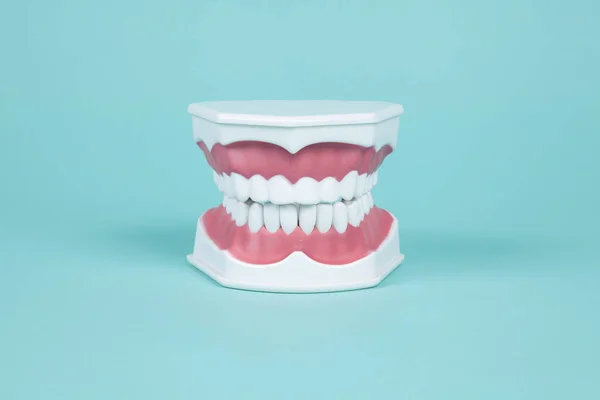 トルコ石の背景に口の解剖学を研究するためのプラスチック製の入れ歯です ミニマルで創造的なカラー静物写真 — ストック写真
