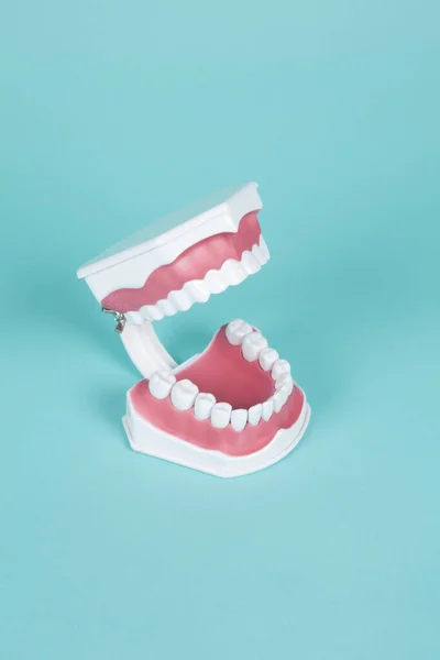Prótesis Dentales Plástico Para Estudiar Anatomía Boca Sobre Fondo Turquesa — Foto de Stock