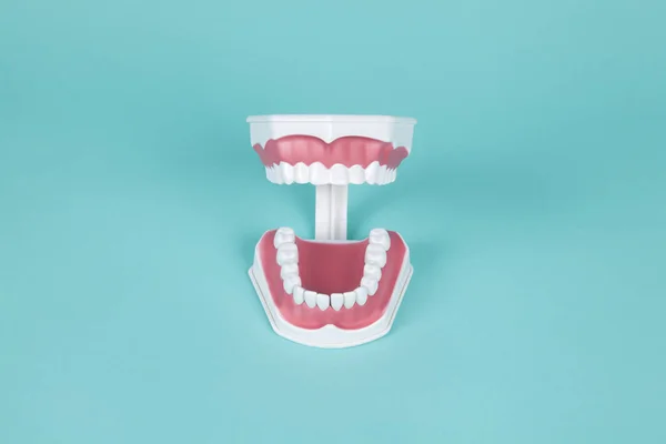 Пластикові Зубні Протези Вивчення Анатомії Рота Бірюзовому Фоні Мінімальний Творчий — стокове фото