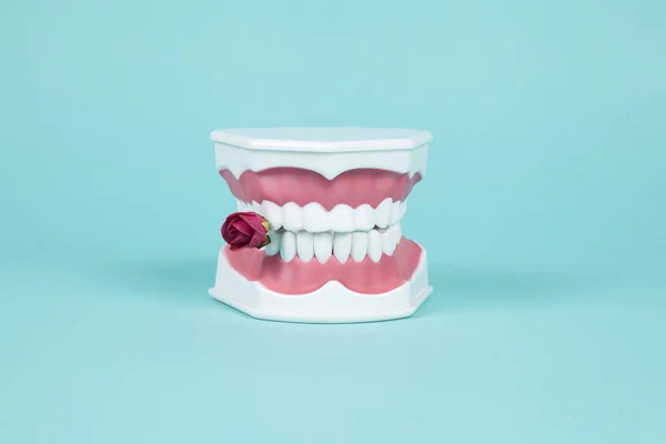 一种塑料假牙 嘴上有红玫瑰 背景为绿松石色 最小和创造性的色彩静止不动的生活摄影 — 图库照片