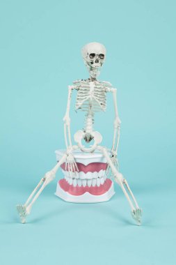 Takma dişin üzerinde duran plastik bir iskelet. Turkuaz arka plan. Asgari ve yaratıcı renk hala hayat fotoğrafçılığı 
