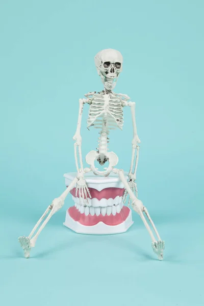 Пластиковий Скелет Сидить Зубному Протезі Бірюзовий Фон Мінімальний Творчий Колір — стокове фото