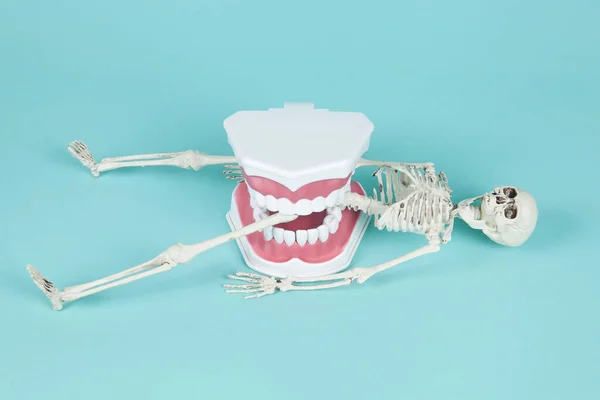 Uma Dentadura Comer Esqueleto Plástico Fundo Turquesa Fotografia Vida Imóvel — Fotografia de Stock