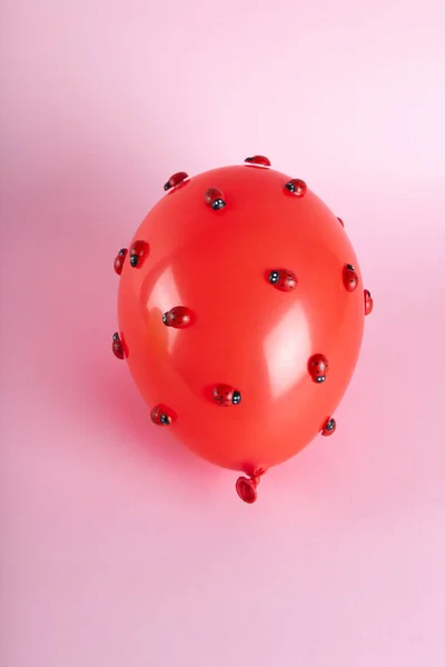 Uma Invasão Inúmeras Joaninhas Balão Inflável Vermelho Com Fundo Rosa — Fotografia de Stock