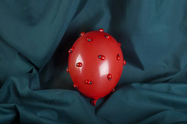 Μια Εισβολή Πολλών Πασχαλίτσες Ένα Κόκκινο Φουσκωτό Μπαλόνι Πράσινο Φόντο — Φωτογραφία Αρχείου