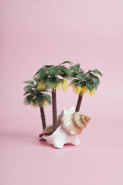 Tropik bir ada için metafor olarak kullanılan deniz kabuğu kabuğu. Pastel pembe arka planda sıradışı ve şiirsel sembolizm kompozisyonu. Asgari renkler hala yaşam fotoğrafçılığı.