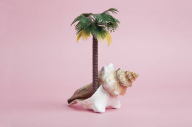 Tropik bir ada için metafor olarak kullanılan deniz kabuğu kabuğu. Pastel pembe arka planda sıradışı ve şiirsel sembolizm kompozisyonu. Asgari renkler hala yaşam fotoğrafçılığı.