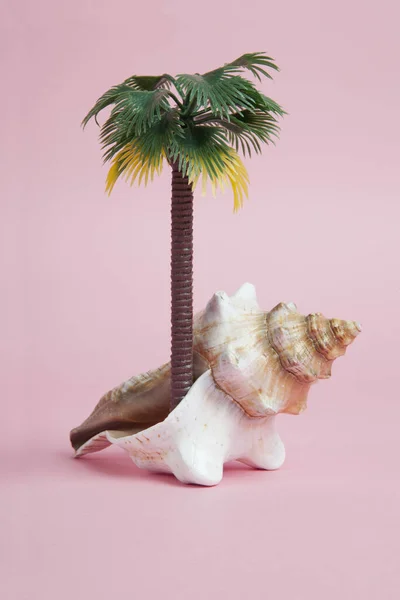 Conch Shell Used Metaphor Tropical Island Offbeat Poetic Symbolism Composition — Stock Photo, Image