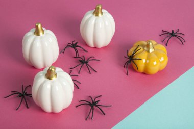 İki tonluk turkuaz ve Fuschia pembe arka planında örümceklerin istilası arasında farklı renklerde küçük seramik balkabakları. Minimalist, modaya uygun natürmort fotoğrafçılığı.