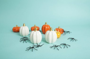 Turkuaz arka planda örümceklerin istilası sırasında farklı renklerde küçük seramik balkabakları. Minimalist, modaya uygun natürmort fotoğrafçılığı.