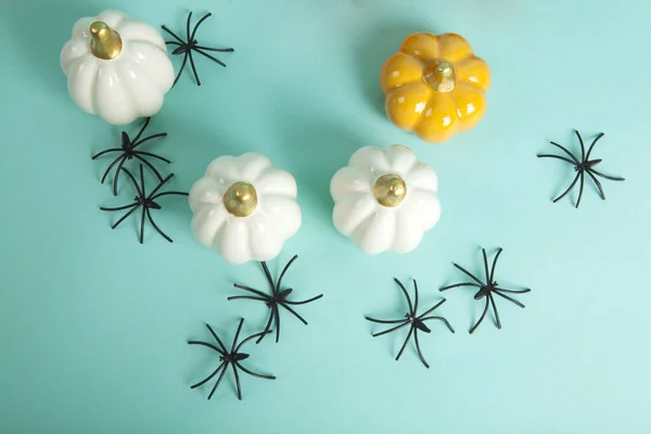 Kleine Keramikkürbisse Verschiedenen Farben Inmitten Einer Invasion Von Spinnen Auf — Stockfoto