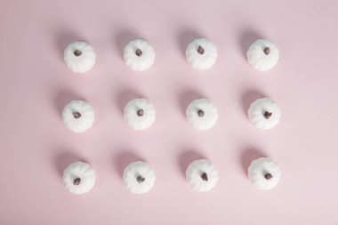 Beyaz balkabakları simetrik olarak dizilmiş sıra sıra ve sütunlar halinde pastel pembe arkaplandalar. Minimalist, trend natürmort fotoğrafçılık.
