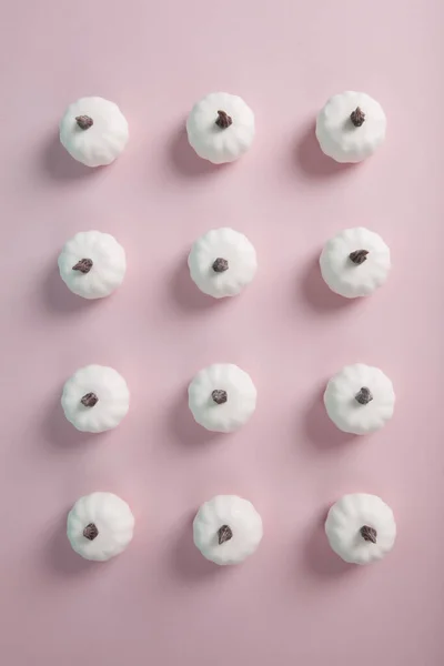 Mini Abóboras Brancas Alinhadas Simetricamente Linhas Colunas Sobre Fundo Rosa — Fotografia de Stock