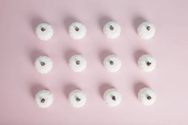 Witte Minipompoenen Symmetrisch Uitgelijnd Rijen Kolommen Een Pastelroze Achtergrond Minimalistische — Stockfoto