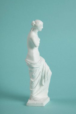 Venus de Milo 'nun her açıdan çekilmiş bir fotoğraf serisi. Klasik bir heykel ile canlı bir turkuaz arka plan arasındaki zıtlık.