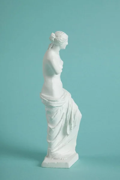 Una Serie Fotográfica Venus Milo Desde Todos Los Ángulos Contraste — Foto de Stock