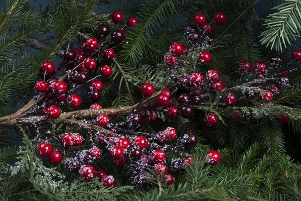 ホリーの枝とその赤い果実の構成は 枝の厚い山の上に置かれました 象徴的なクリスマスの色のミックス 赤と緑 — ストック写真