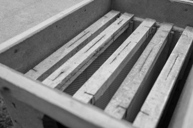 Kanatlı arı kovanına doğru yavaşça uçar ve canlı çiçeklerden özel arı kovanında nektar toplar. Apiary köyün arı kovanından oluşur, arının bacaklarında çiçek tozu. Arka planda arılar için arı kovanı var.