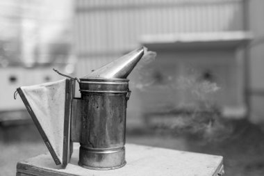 Kanatlı arı kovanına doğru yavaşça uçar ve canlı çiçeklerden özel arı kovanında nektar toplar. Apiary köyün arı kovanından oluşur, arının bacaklarında çiçek tozu. Arka planda arılar için arı kovanı var.