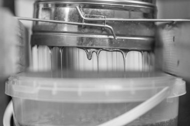 Altın nektarla doldurulmuş altıgen bal peteklerinden bir damla bal damlıyor. Bal peteği yaz kompozisyonu. Doğal bal damlası, balmumu çerçeveli arı damlası. Bal damlası bal damlatıyor bal peteğine.